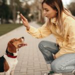 Young woman training dog on path